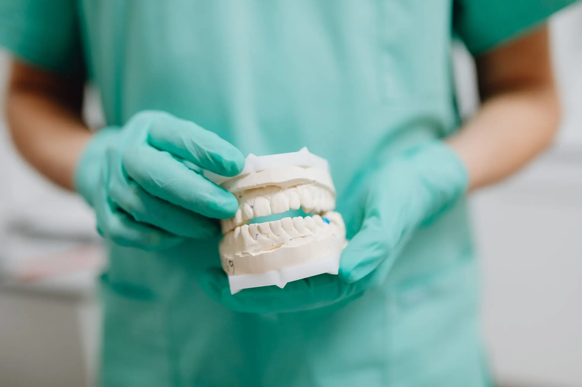 Dentist holding a dental model used to plan a bridge